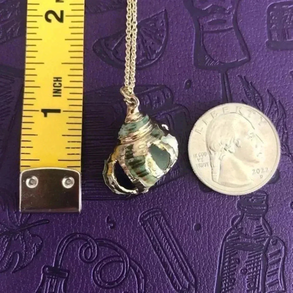 Real Seashell 1 Gold Plated Necklace NWT - Picture 3 of 3